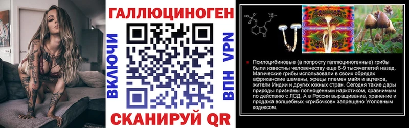 Псилоцибиновые грибы MAGIC MUSHROOMS наркошоп hydra маркетплейс Бирюч